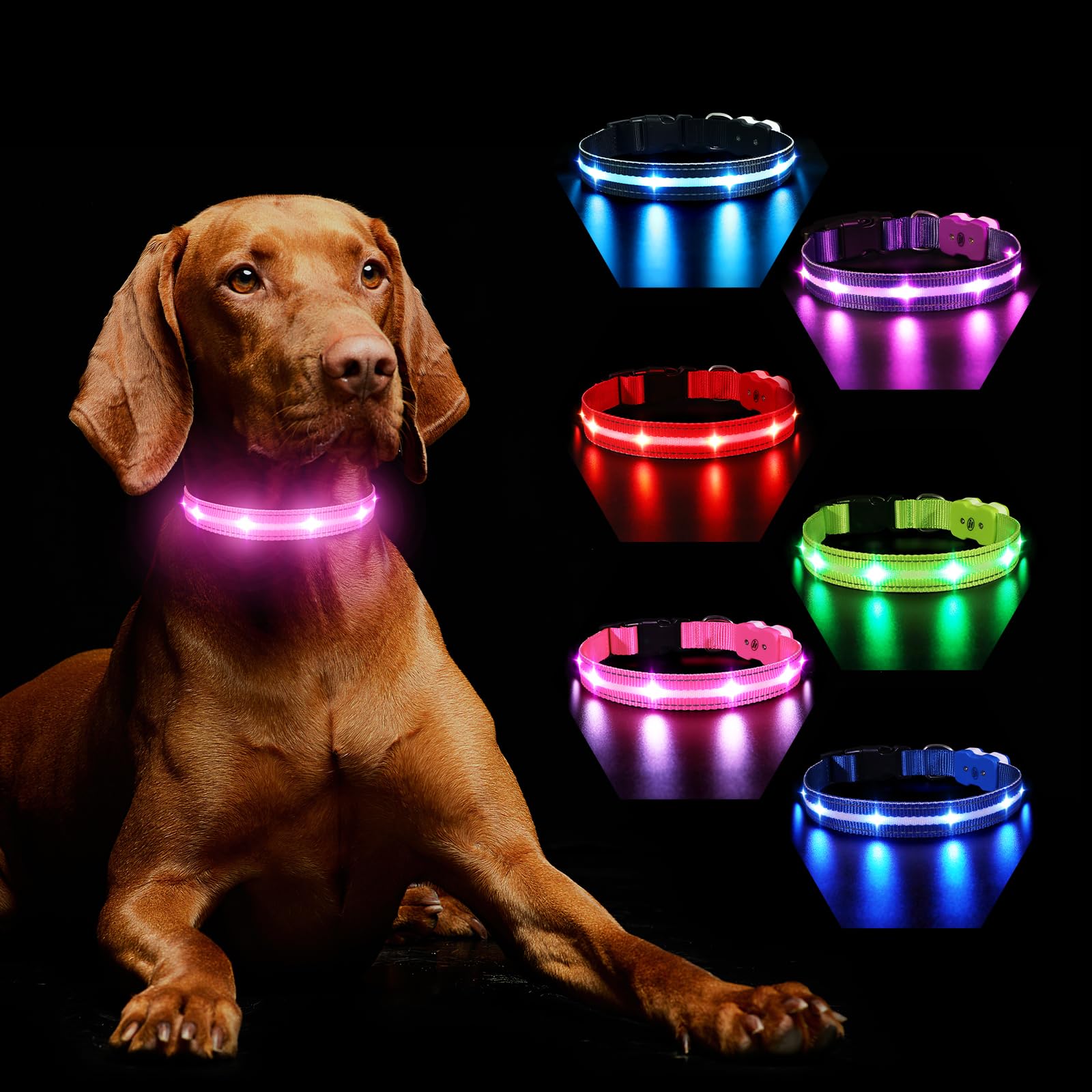 Collare Luminoso per Cani, Collare di Cane LED Ricaricabile e Impermeabile, 7 Colori RGB Cambiano 8 Modalità di Illuminazione Regolabile Adatto per Cani di Taglia Piccola Media Grande(Rosa S)