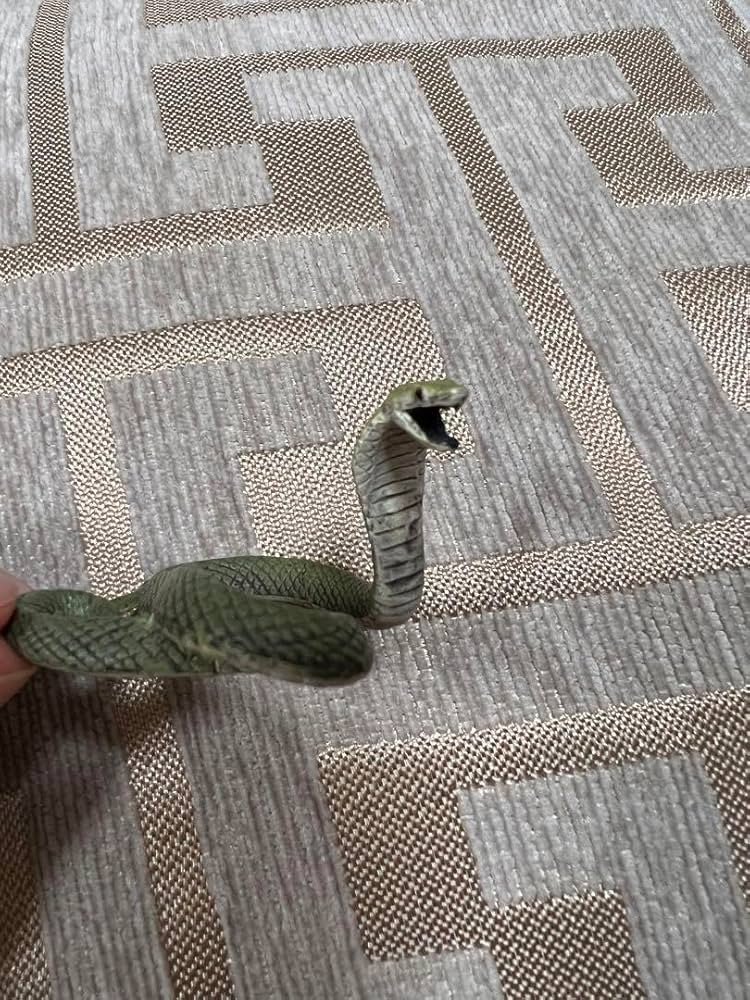 Amazon.co.jp: 不思議生物大百科 毒牙の暗殺者 毒ヘビ ブラック