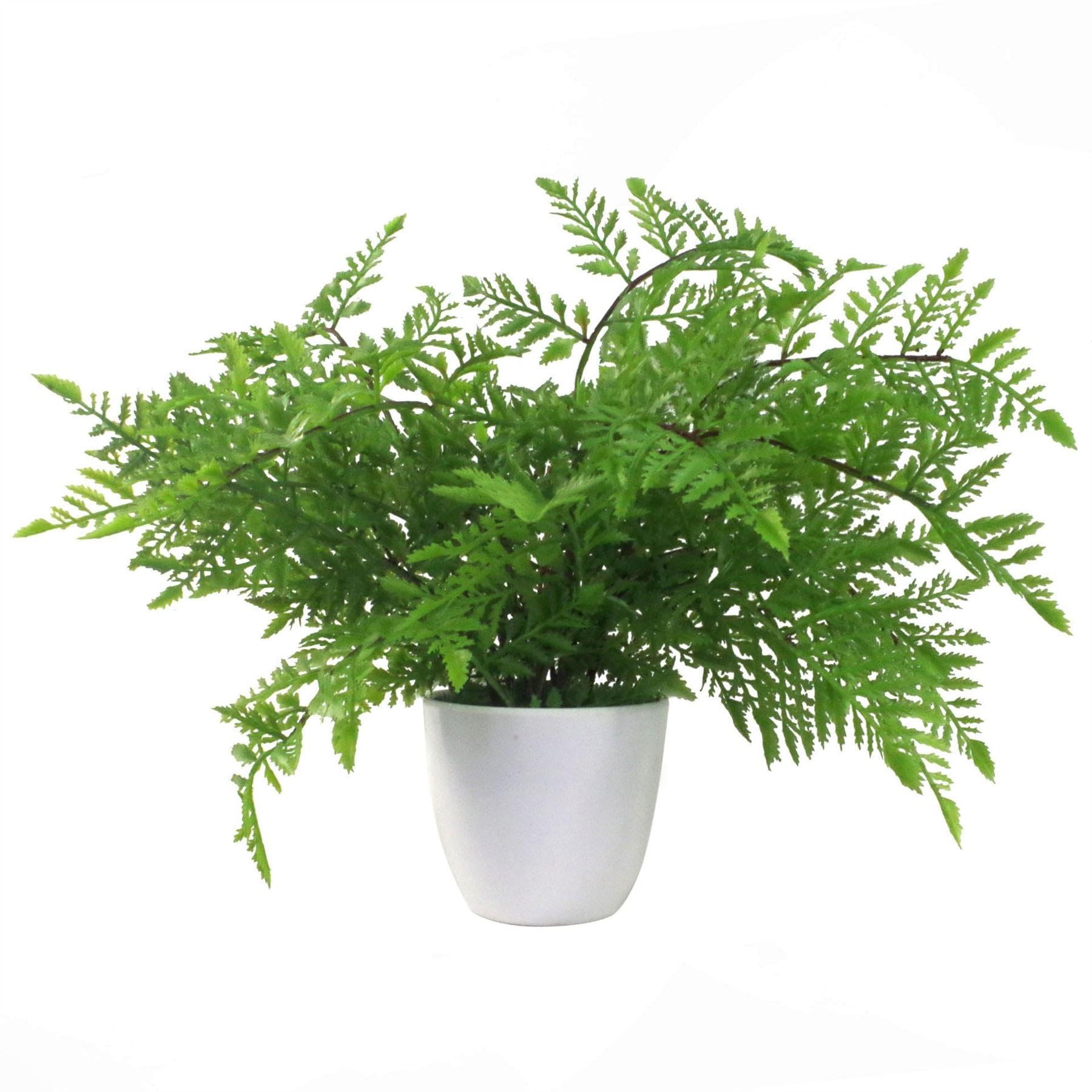 Leaf - Artificial Southern Wood Fern - 30cm - Green