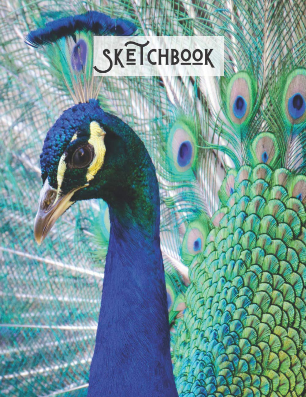 Sketchbook: Peacock Lovers Sketchbook and Sketch Pad For Drawing, Peacock white Paper For Drawing And Sketching, ... and Writing