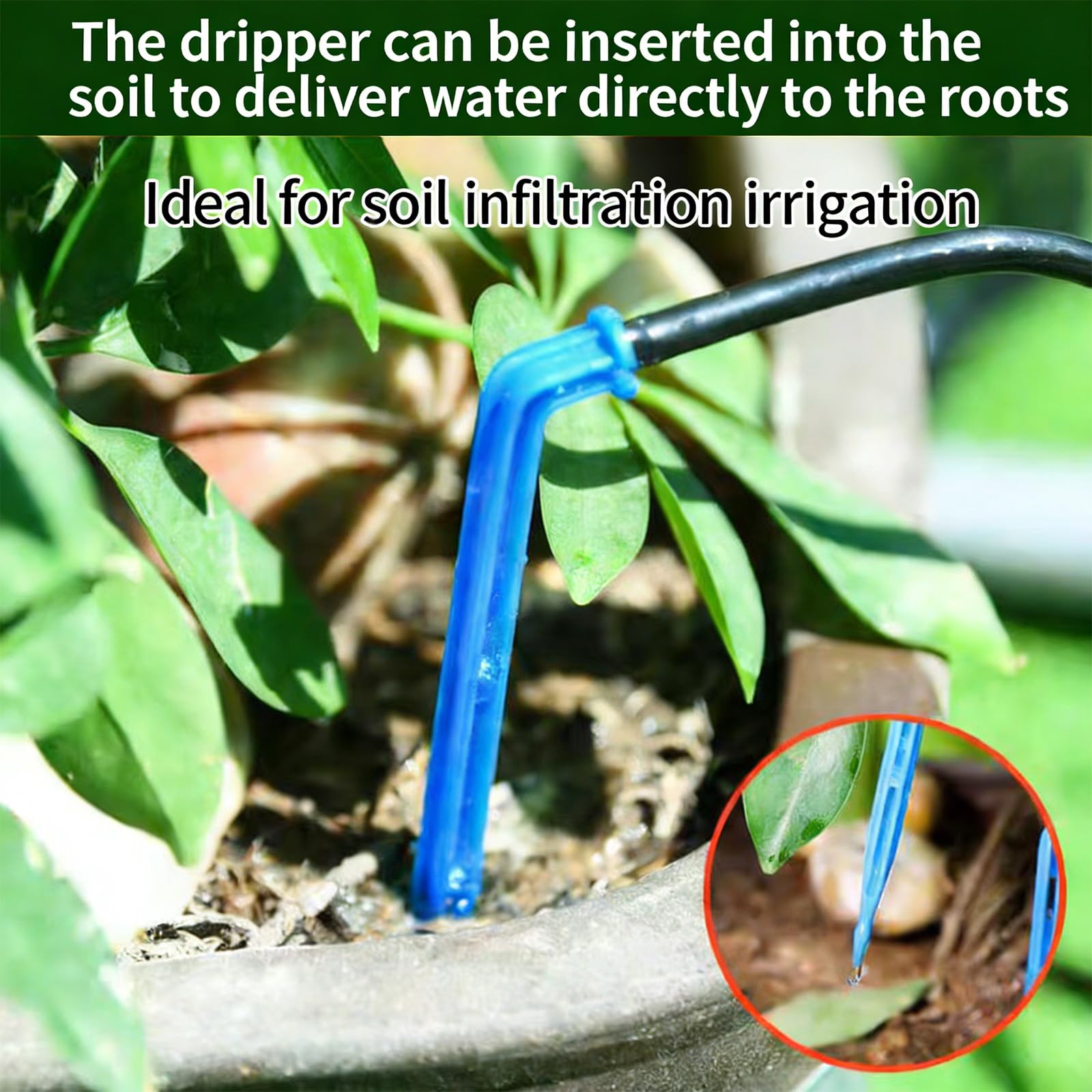 Solución de riego automático con Temporizador de 30 Minutos para Estructura de riego amigable con Cuidado del jardín del hogar