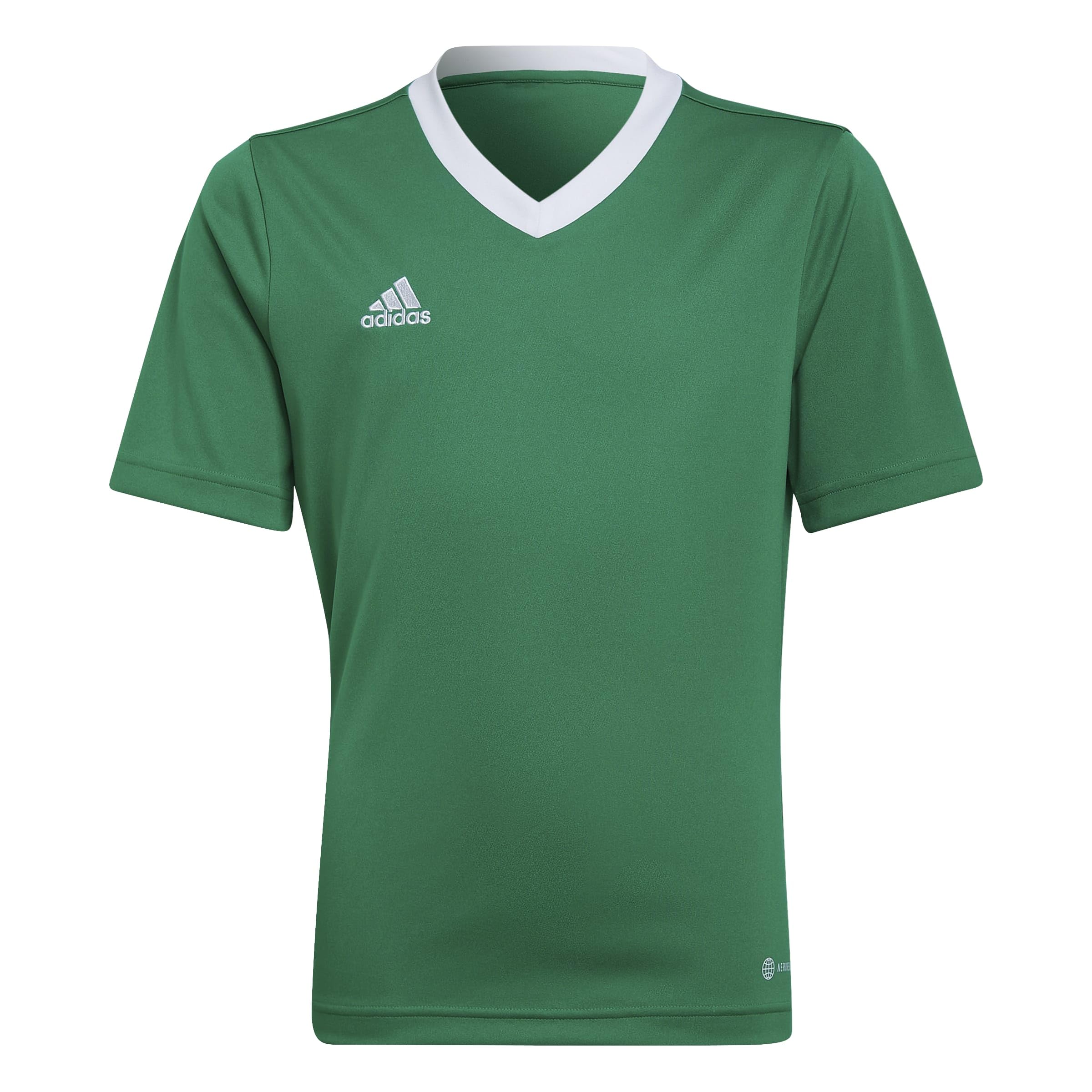 adidas Unisex Kids Entrada 22 Jersey, Team Green / White, 15-16 Years