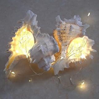Natural seaShell with String Light, M Murex Ramosus Conch Seashell, Home/Tabletop Decoration, Beach/ Marine Theme Decoration with USB String Light, 8 Flashing Modes, 5V, 0.4W (2pcs M Murex Ramosus)