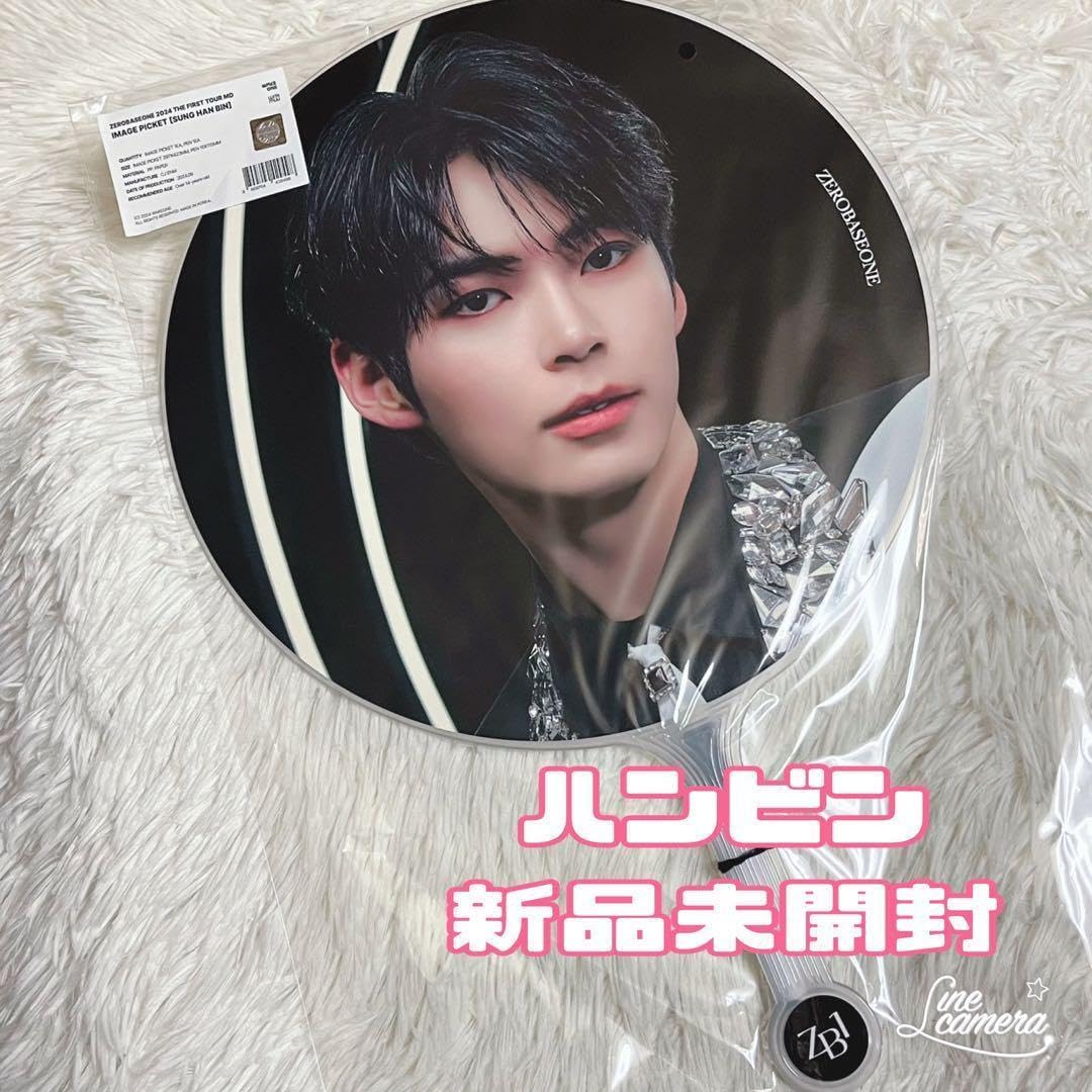 販売済み 野梅(米良) 小輪白花一重[模様木] 大品盆栽 梅 野梅(米良) 小