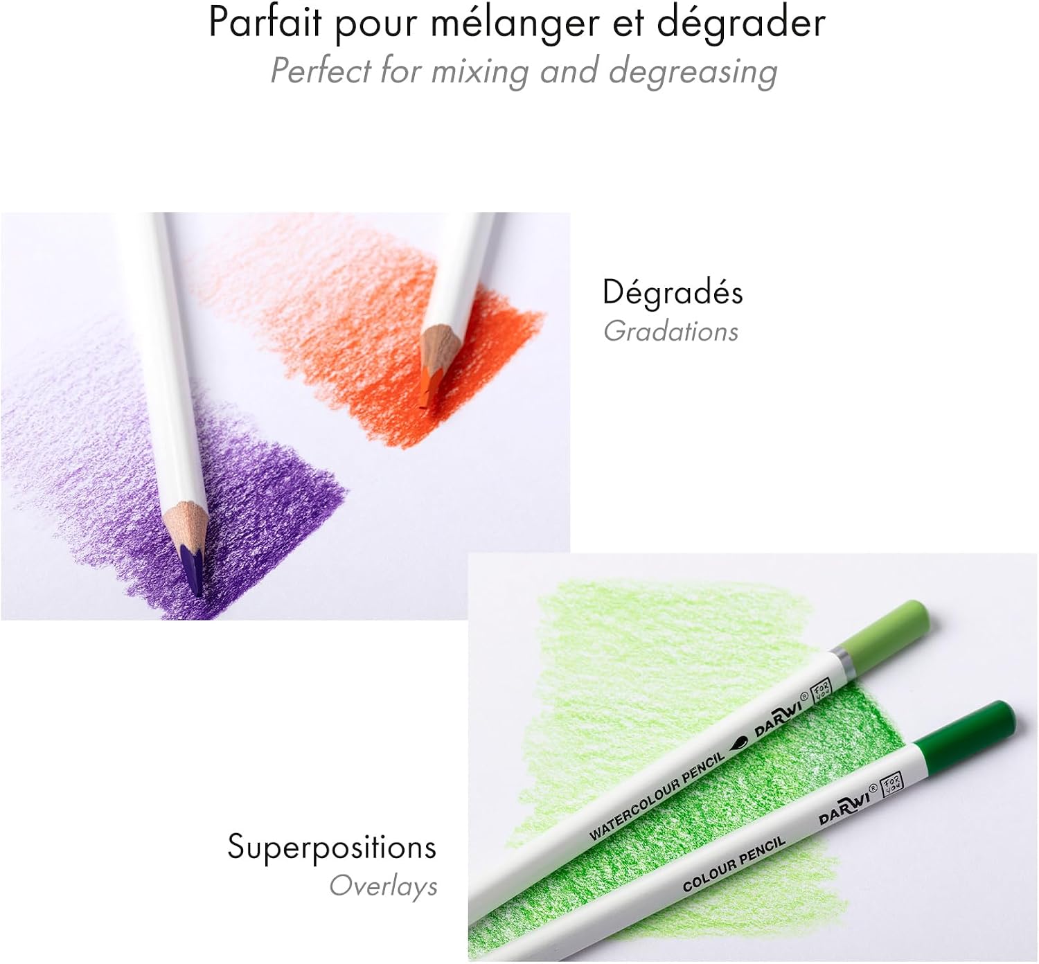 Darwi For You DF2100012K01C - DFY 12 crayons couleurs standards