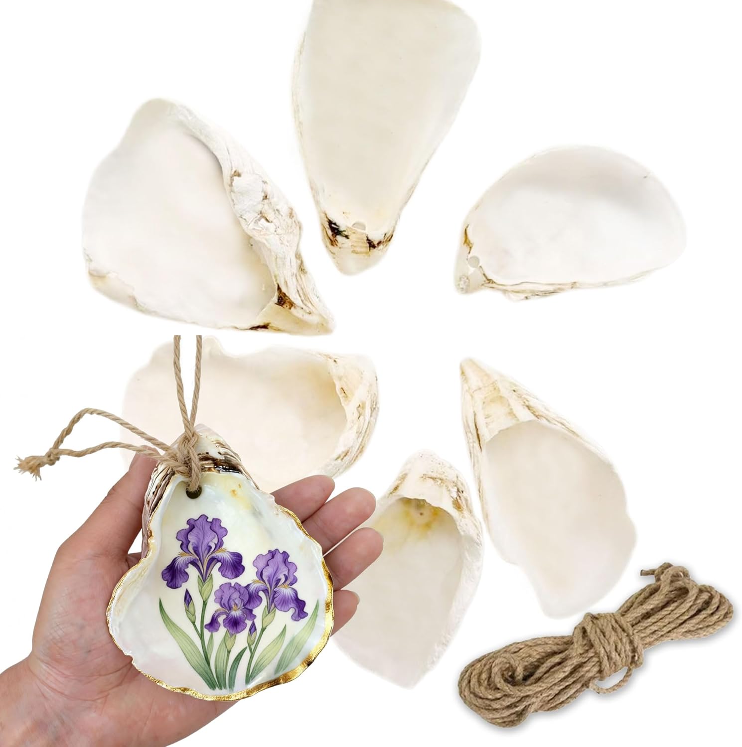 20PCS Oyster Shells for Crafts with Drilled Holes 4"-5" Large Concave Oyster Shells, for Home Vase Filler, Xmas Ornaments, DIY Arts and Crafts