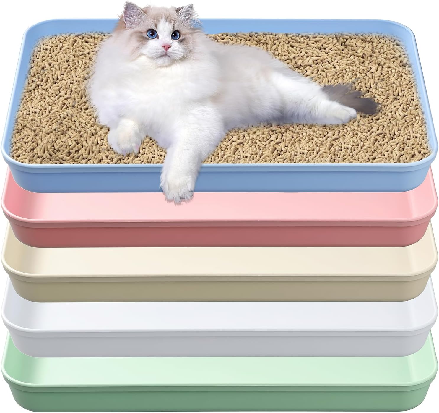 HFYZZ 5 Pack Medium Low-Entry Cat Litter Boxes - 15x10.4x1.6 Inch Plastic Pans for Kittens, Puppies, Bunnies, Guinea Pigs, Multicolor