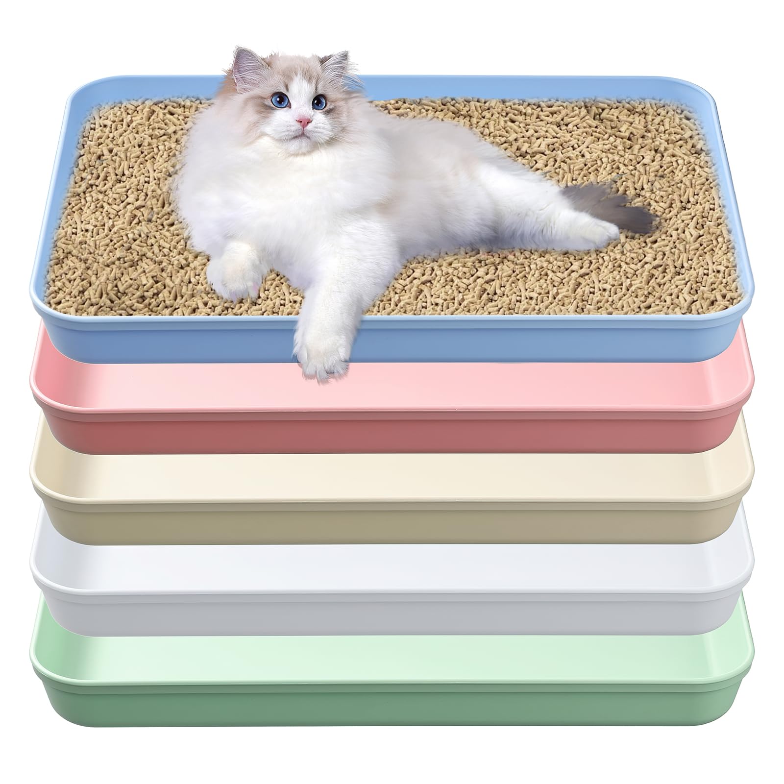 Katzentoilette, mittelgroß, offen, 38,1 x 26,1 x 4,1 cm, Kunststoff, Kätzchentoilette, niedriger Einstieg, Reise-Toilette für Katzen, Welpen, Kaninchen, Meerschweinchen, mehrfarbig, 5 Stück
