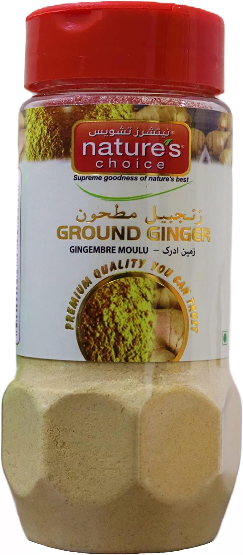 Ginger Powder - 100 gm