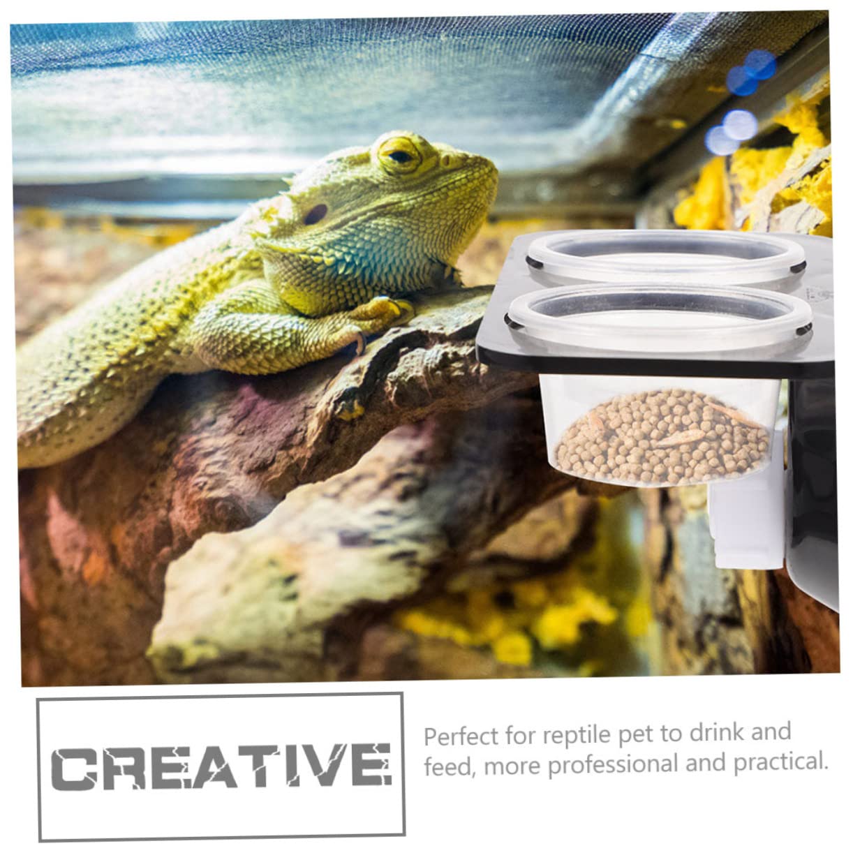Angoily 4sets Ciotole per Rettile con Design Ventosa Mangiatoia Pratica per Terrario con Supporto Accessorio per Animali Domestici per Cibo Facile da Installare e Manutenere