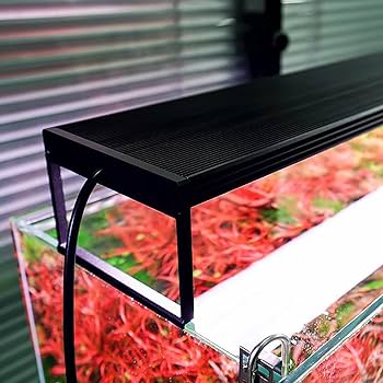 くまくら】 Chiros WRGBⅡ 60＆EHEIM水槽セット くまくら】 Chiros