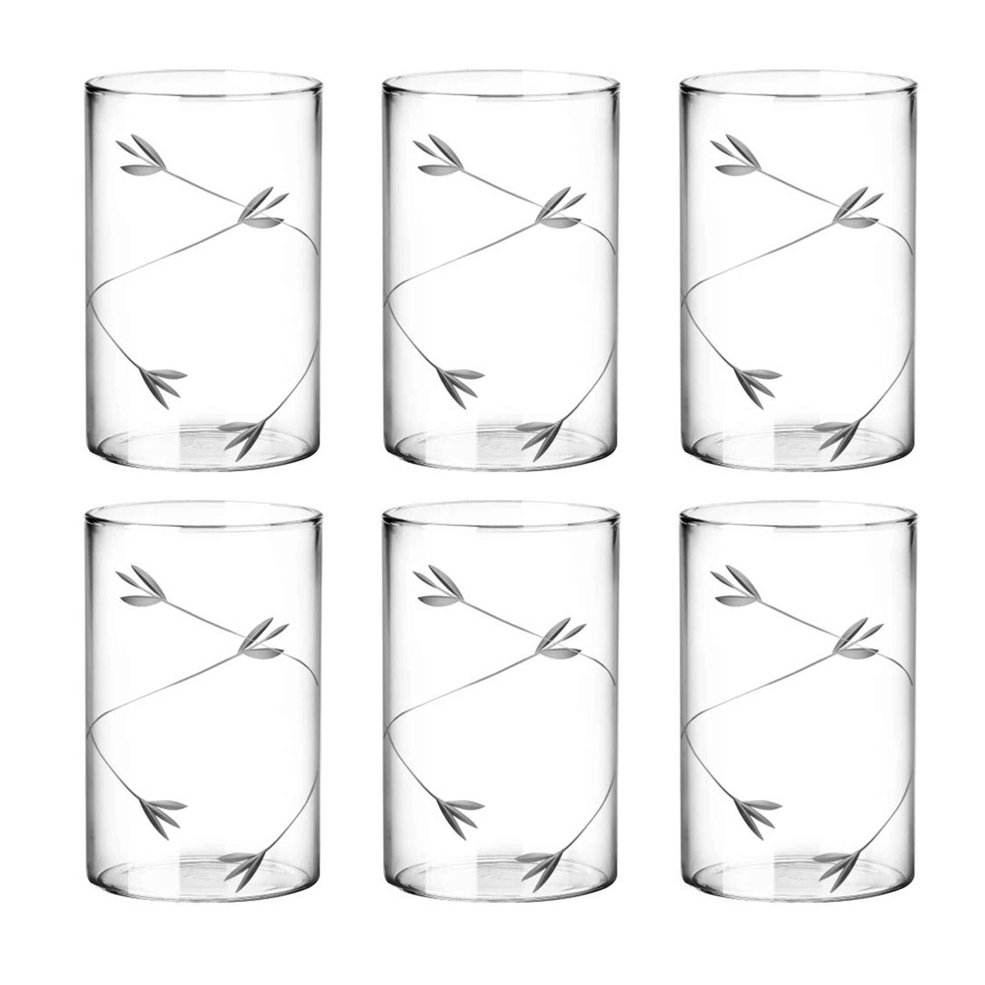 Treo by Milton Vector Borosilicate Decorative Glass Tumbler, Set of 6, 300 ml, Bloom (Transparent) (B081DYTRZX) Amazon Price History, Amazon Price Tracker