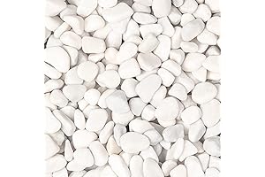5-Pound Bag of Natural White River Rocks
