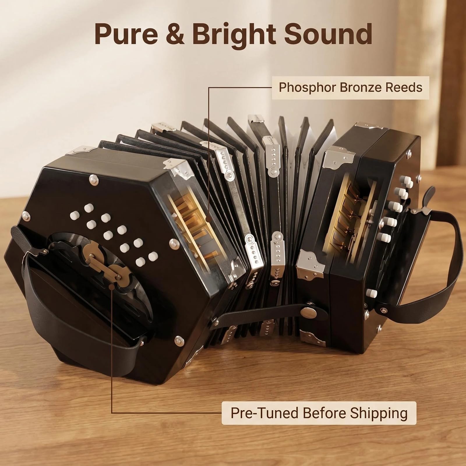 Concertina Anglo, Concertina Vintage a 20 Bottoni, Principianti, Appassionati di Musica, Pratica Professionale, Viaggi, Musica Folk D