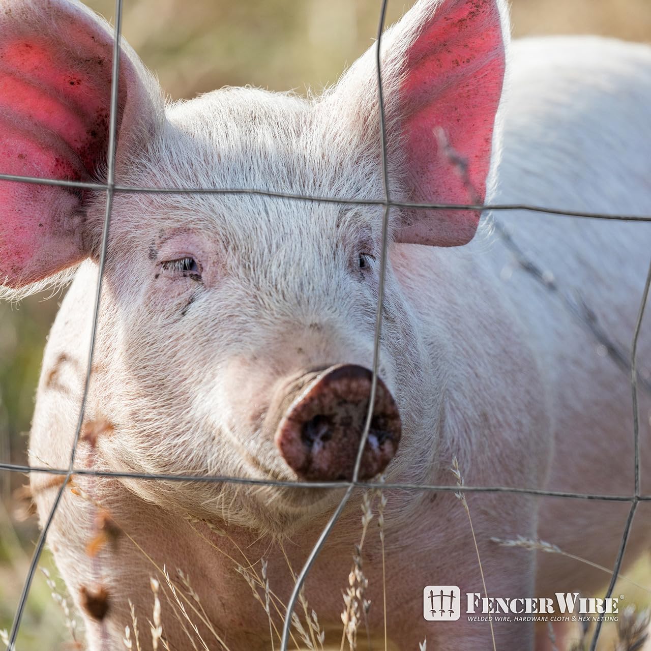 Fencer Wire Welded Wire Fence 12.5 Gauge, Galvanized Welded Fence Wire Roll, Mesh Size 4-Inch x 4-Inch, Hog Wire Fencing Cage, Multiple Use for Home Improvement & Animals Enclosure (4ft. x 50ft.)