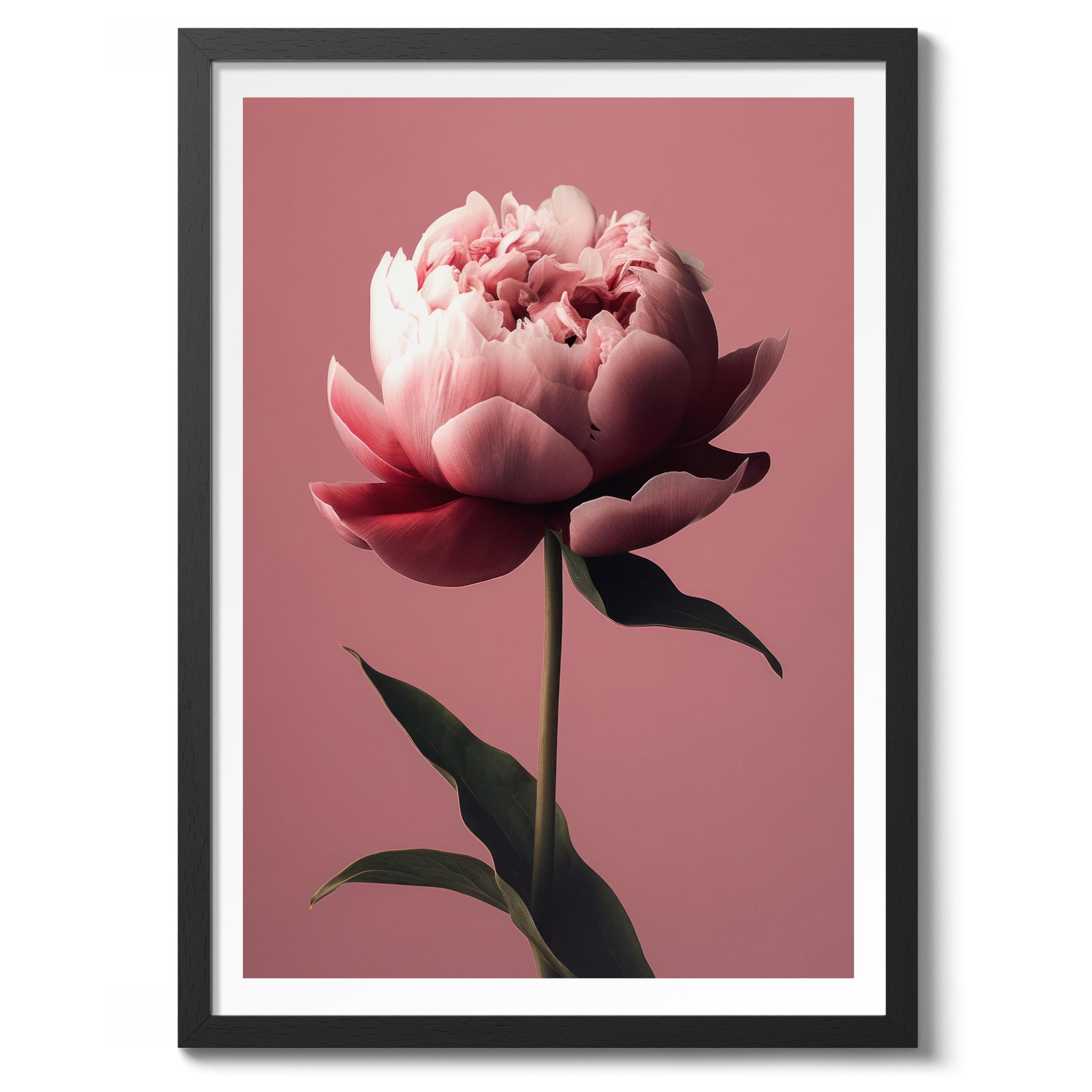 Peony Flower Poster, Colourful Floral Home Decor Wall Art, Abstract Colourful Minimalist Bedroom Artwork Gallery, Archival Matte, A4 (Black Frame) - 29.7x21cm