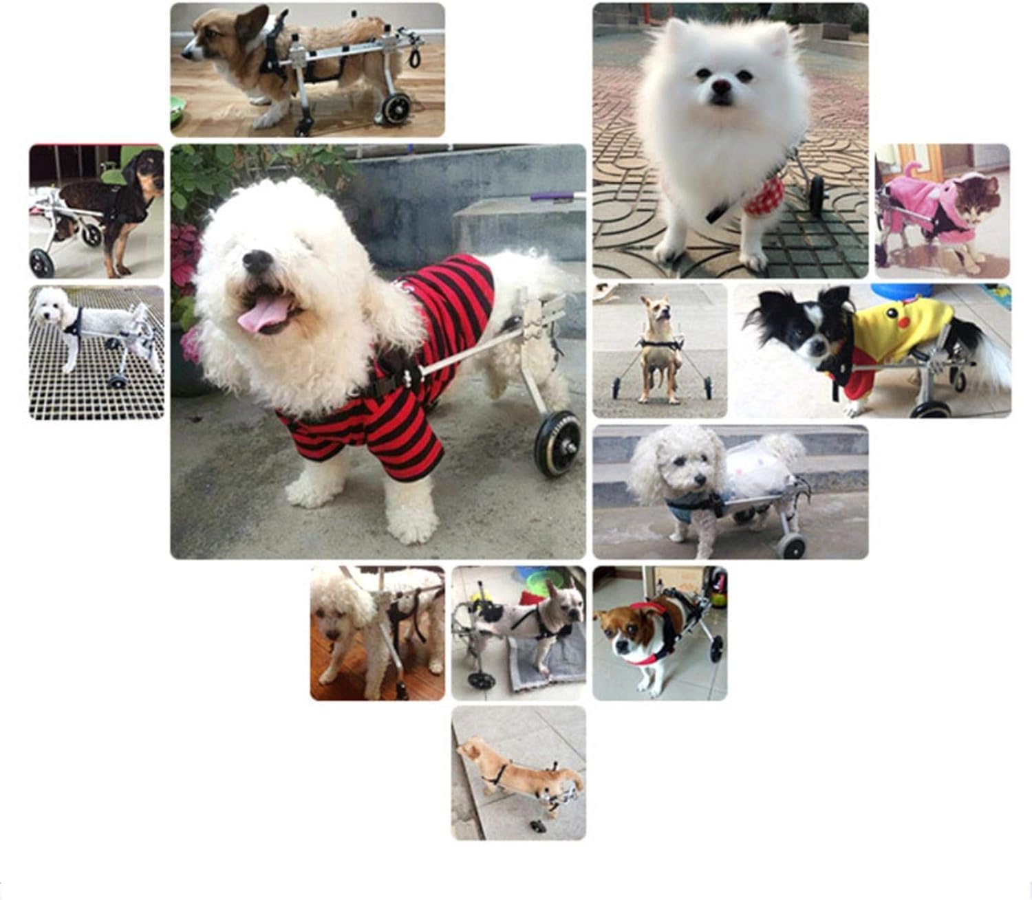 義足　犬 3Dプリンターで断脚手術をしたペットたちに新たな義足を ― 東洋
