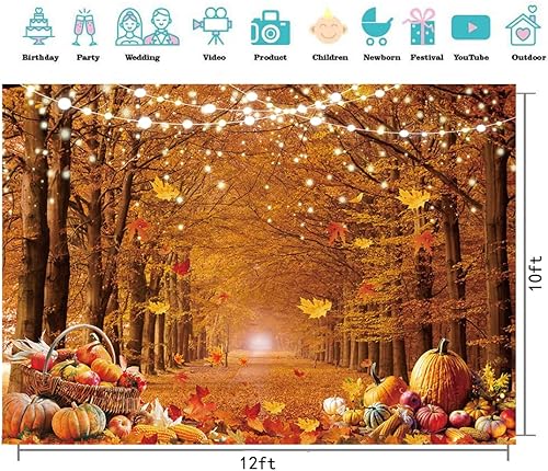 Miniatura 10 de CYLYH Fondo de fotografía de otoño de 7 x 5 pies, hojas de bosque de arce, calabaza, fondo, fiesta de Acción de Gracias, suministros de fiesta de