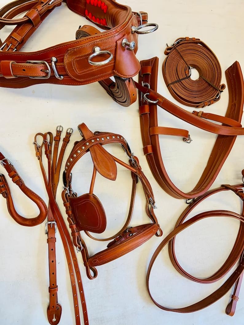Juego de arnés de conducción de nailon sintético para carrito de caballo, tachuela ecuestre completa con riendas y brida, pony, mazorca, completo y marrón Shetland (mazorca)
