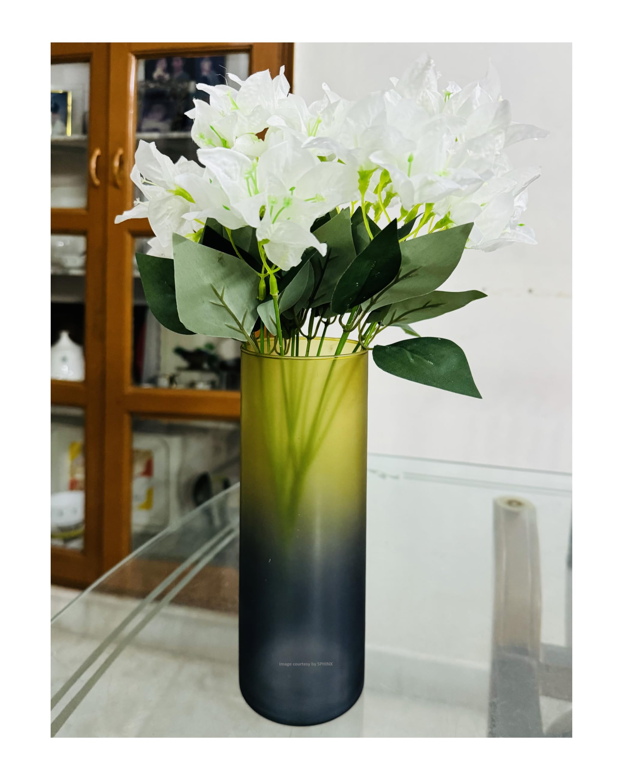SPHINX Dual Toned Decorative Glass Cylinder Vase for Flowers Bamboo Money Plants Home Table Decor,Centerpiece, Vases for home decor , Hurricane Candle Holder Vase, Gift - (Height Approx. 9 Inches)