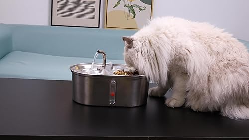 Miniatura 3 de NPET WF140 - Fuente de agua para gatos de acero inoxidable 2 en 1 con 8 filtros, fuente automática de agua para mascotas de 101 oz3 L, dispensador