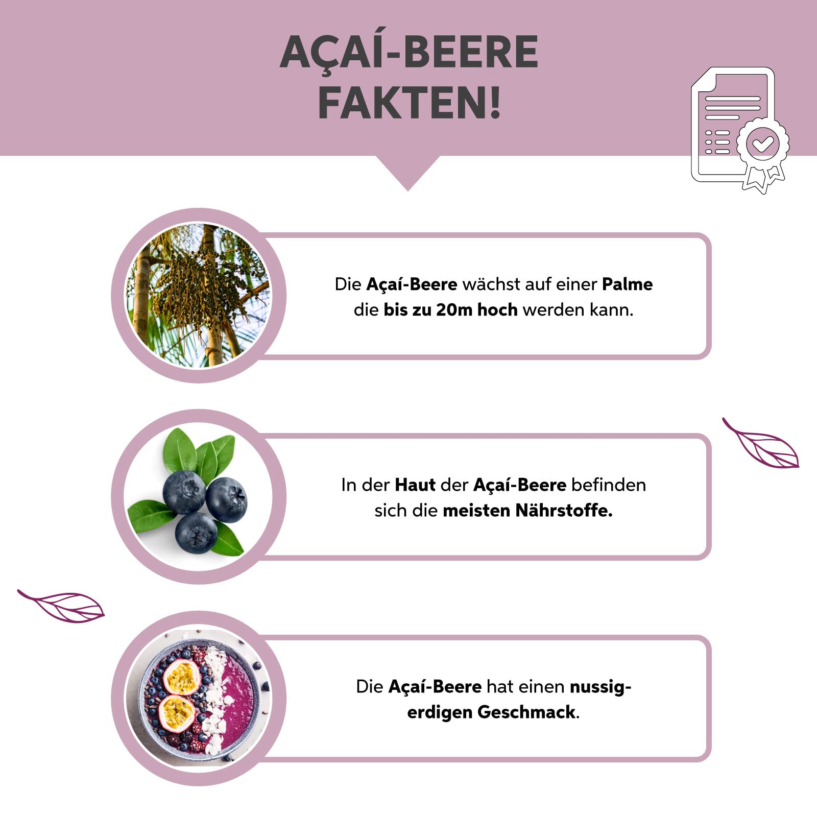 Acai Tabletten 2000 Presslinge | Hochdosiert 5000mg Tagesdosis | Rohkost 100% reine 250mg Tabs | 100% rein ohne Zusatzstoffe in Premiumqualität