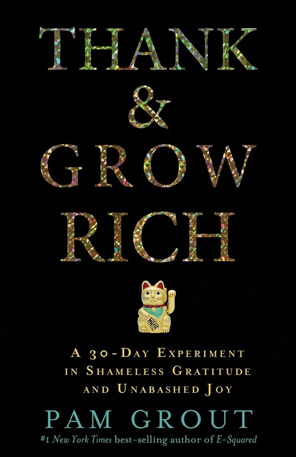 Thank & Grow Rich: Experiment in Shameless Gratitude and Unabashed Joy Paperback – 15 September 2016