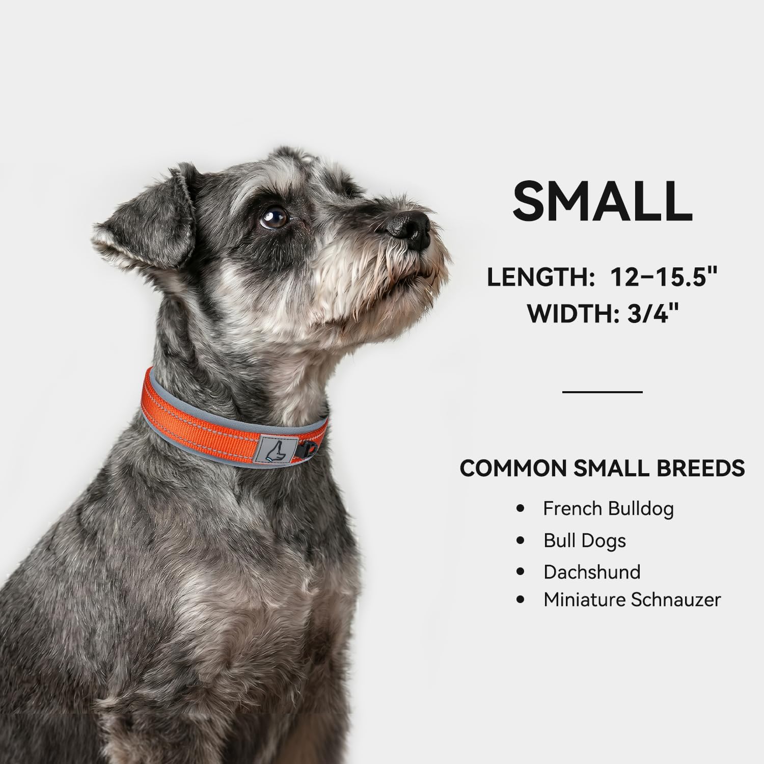 Joytale Reflective Dog Collar for Small Dogs with Wide Padding, Orange image 5