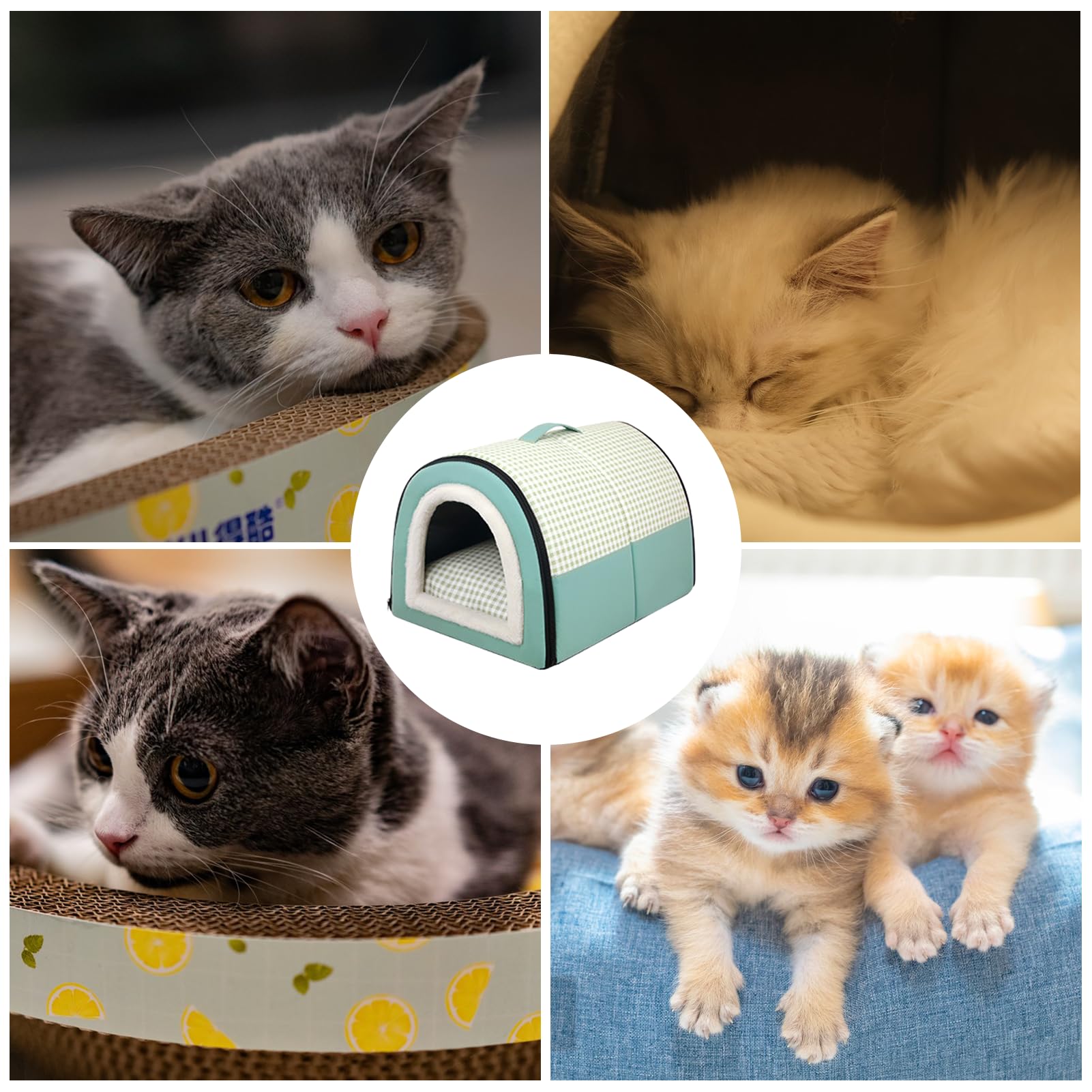 Cuccia per animali domestici, tenda chiusa per gatti, cuccia invernale per | cani e gatti, semi-chiusa, autoportante, con rimovibile e lavabile, a prova di graffio, per cani e gatti di piccola