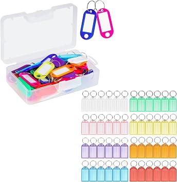 Cuttte 98 Pack Plastic Key Tags مع الملصقات، والملصقات الرئيسية مع الحلقة والنافذة