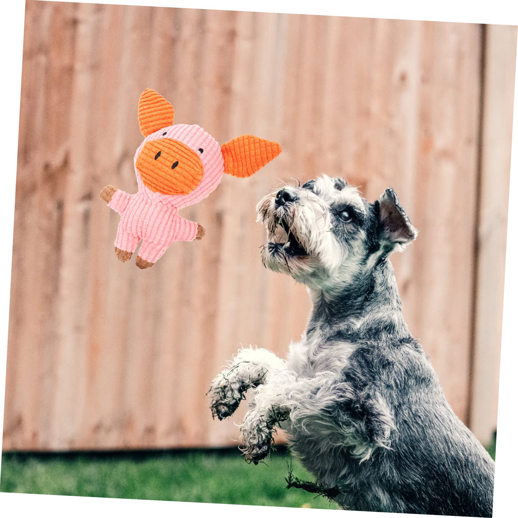 Kisangel 5stücke Hund Quietschspielzeug Aus Plüsch Für Hunde Und Katzen Molarspielzeug Zur Zahnpflege Für Gesunde Kiefermuskulatur Für Kleine Und Mittelgroße Haustiere