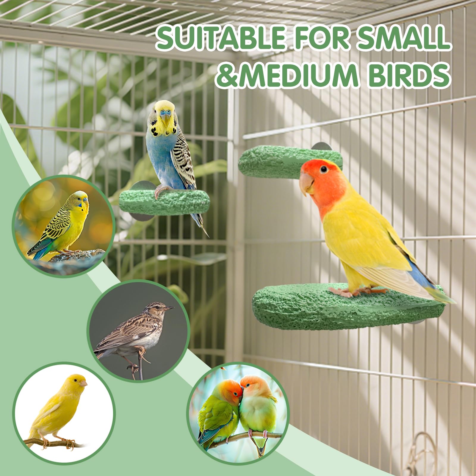 3Pcs Beak Grinder for Birds: Parakeet Beak Grinding Stone&Nail Trimming Perch-Flat Perches for Bird Cages,Budgie Cage Accessories - image 4