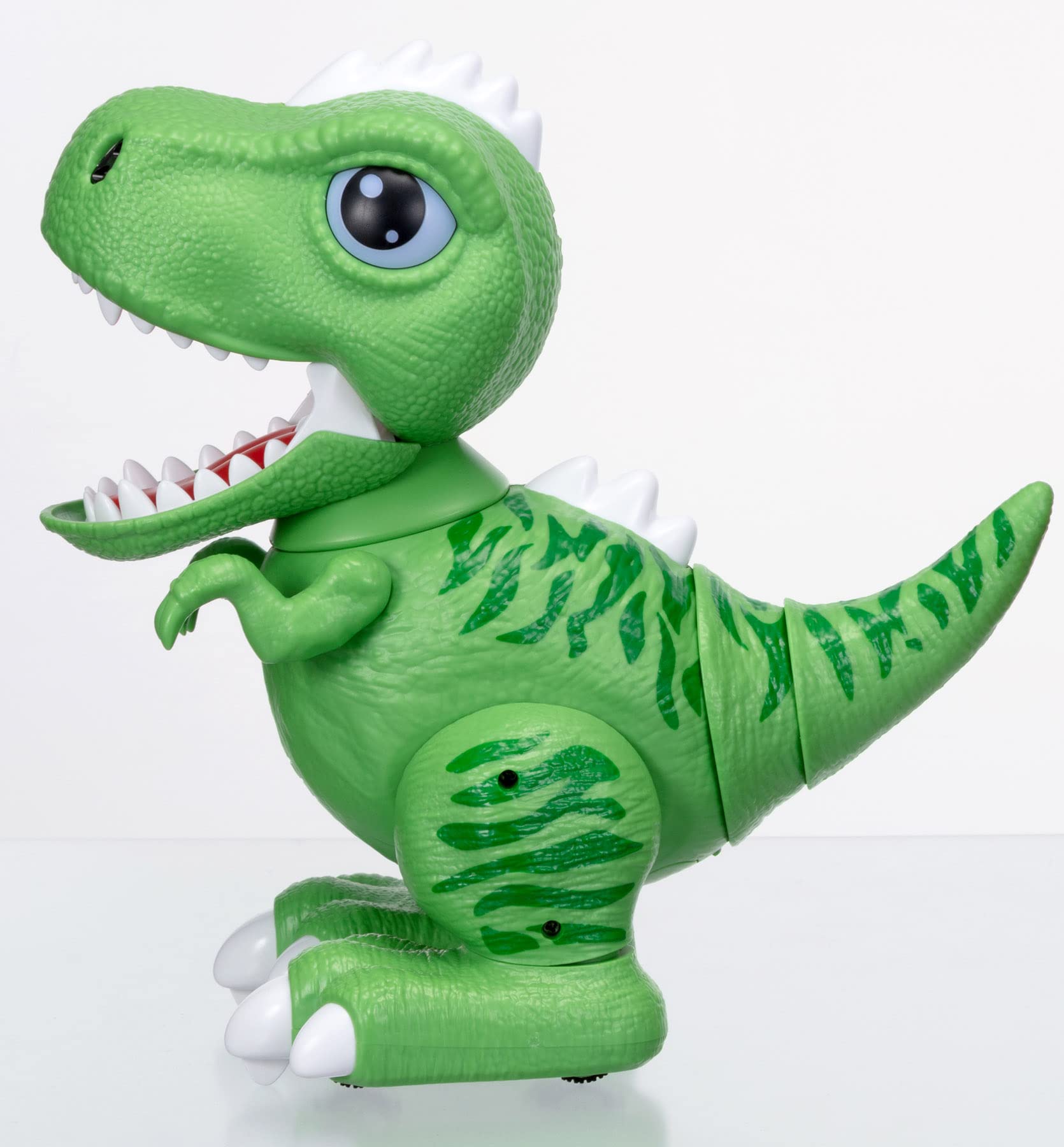 ダイナソーさま □湘南インターナショナル□□2024AW 新作□ 動くダイナソー 12