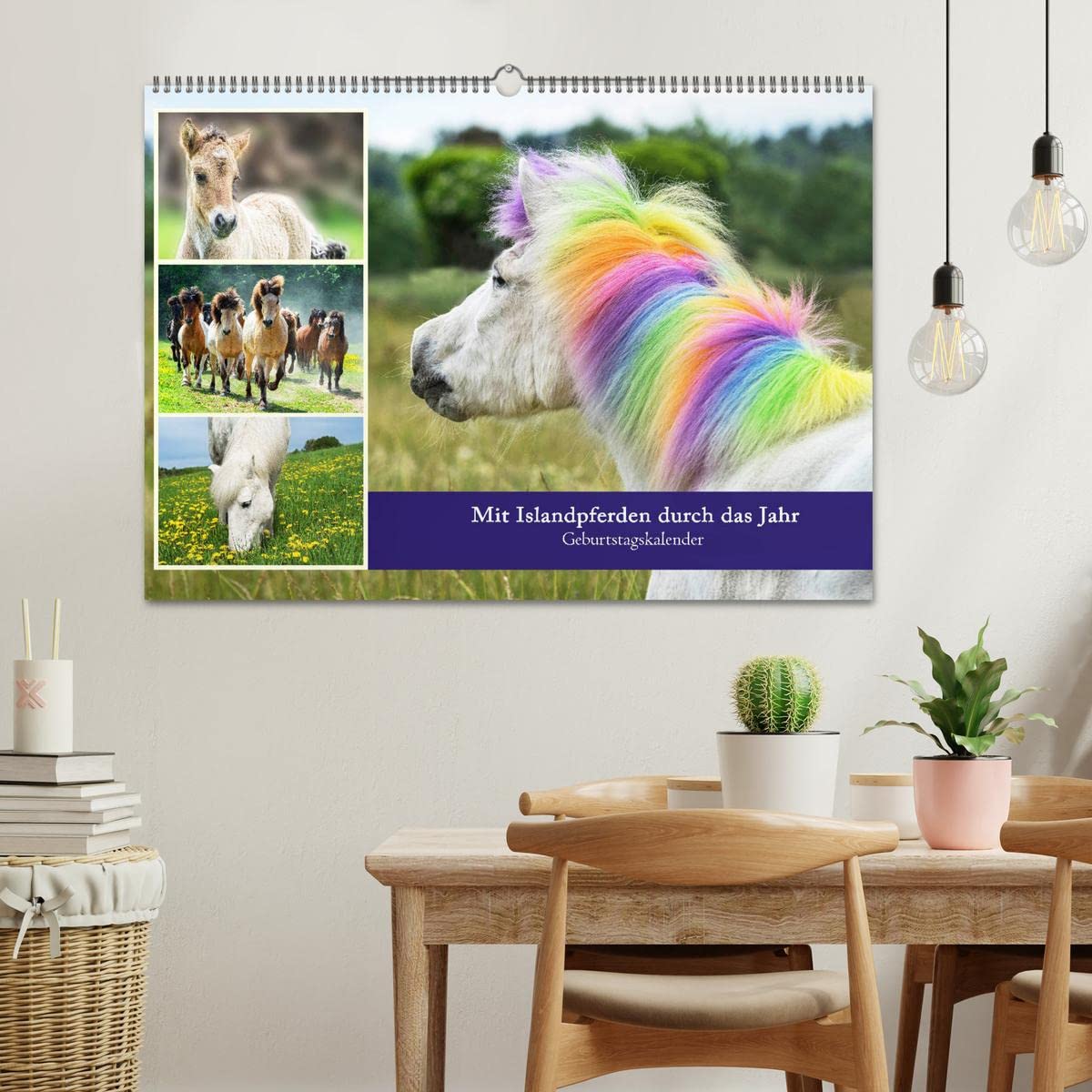 Mit Islandpferden durch das Jahr Geburtstagskalender (Wandkalender 2026 DIN A2 quer), CALVENDO Monatskalender: Islandpferde, Termine, Geburtstage, Events (CALVENDO Tiere)