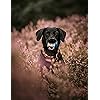 Product Photo 7