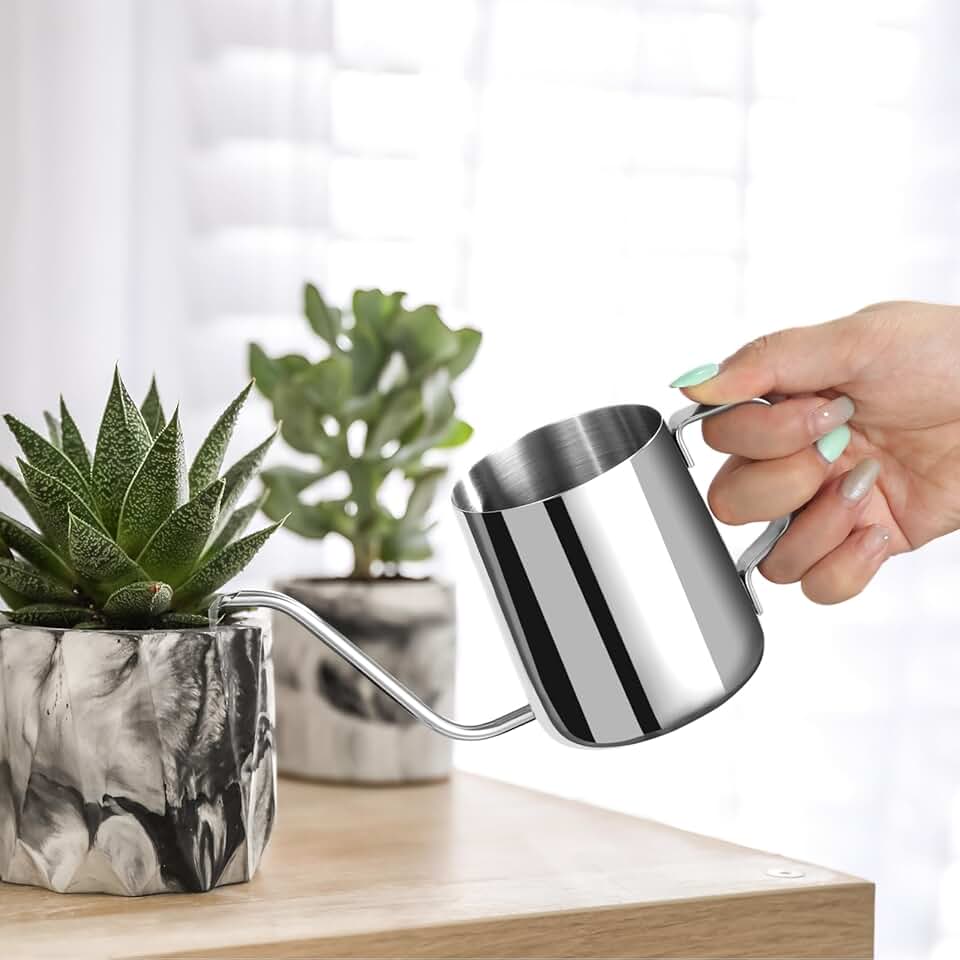 Small Watering Can for Indoor Plants - 12 oz Mini Indoor Watering Can with Long Spout Gooseneck Rust-Proof Stainless Steel Tiny Watering Kettle for Small House Plants