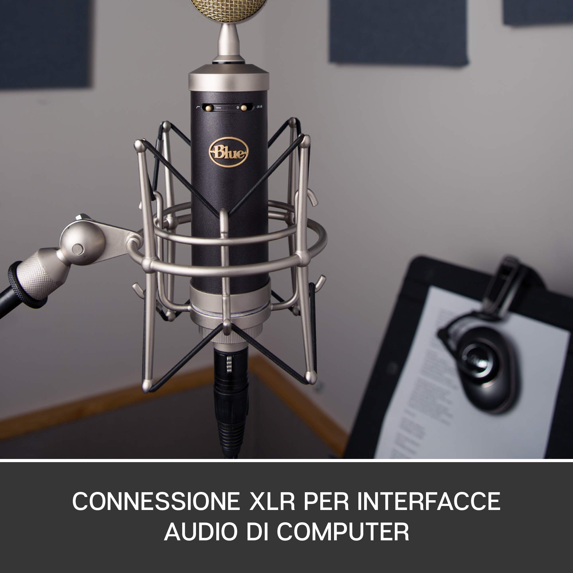 Blue Baby Bottle SL Microfono a Condensatore XLR | Per la Registrazione e lo Streaming, Capsula Cardioide a Membrana Grande, Shock Mount e Custodia Protettiva - Nero