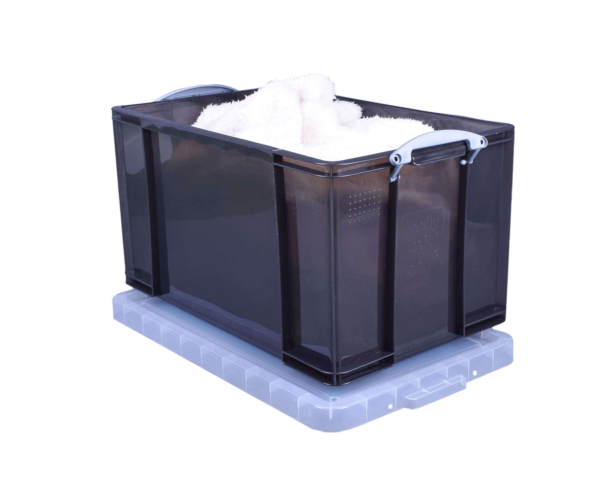 Really Useful Box - Caja de almacenaje (84 L), color transparente