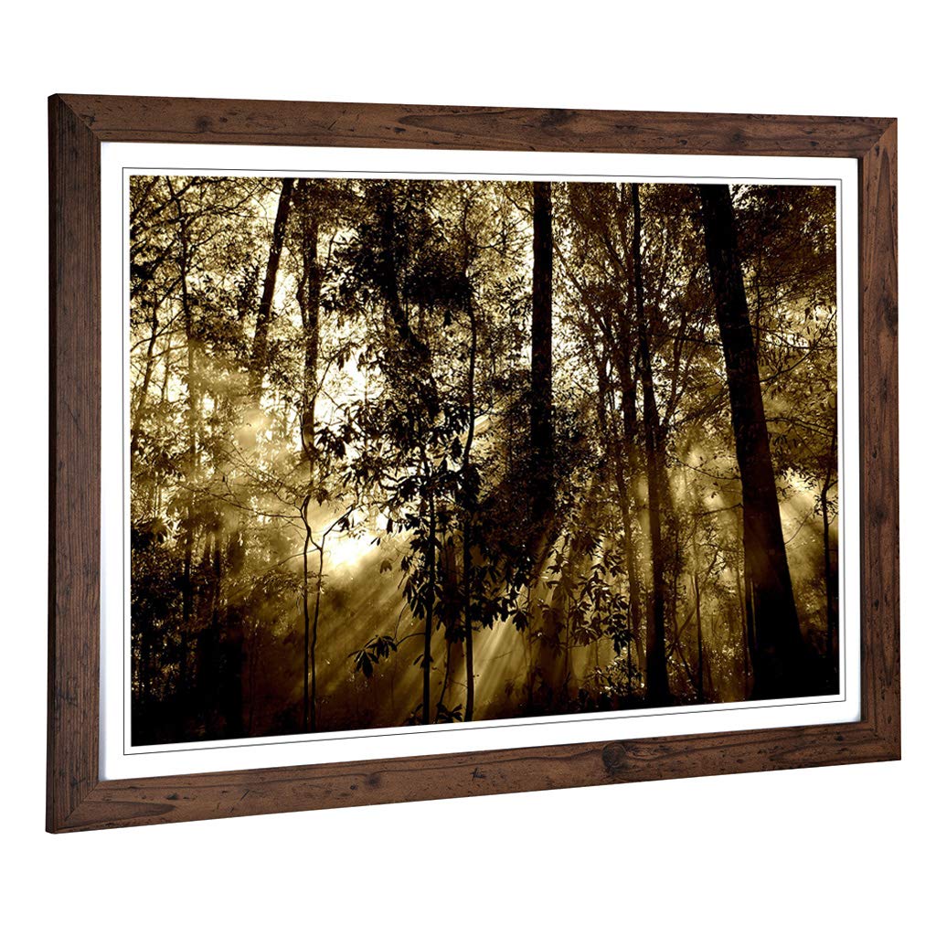 Big Box Art Framed Print of Sunlight Forest Woodland Design | Wall Art Picture | Home Decor for Kitchen, Living, Dining Room, Bedroom, Hallway, Office, Walnut, A2 / 24.5x18 Inch / 62x45cm