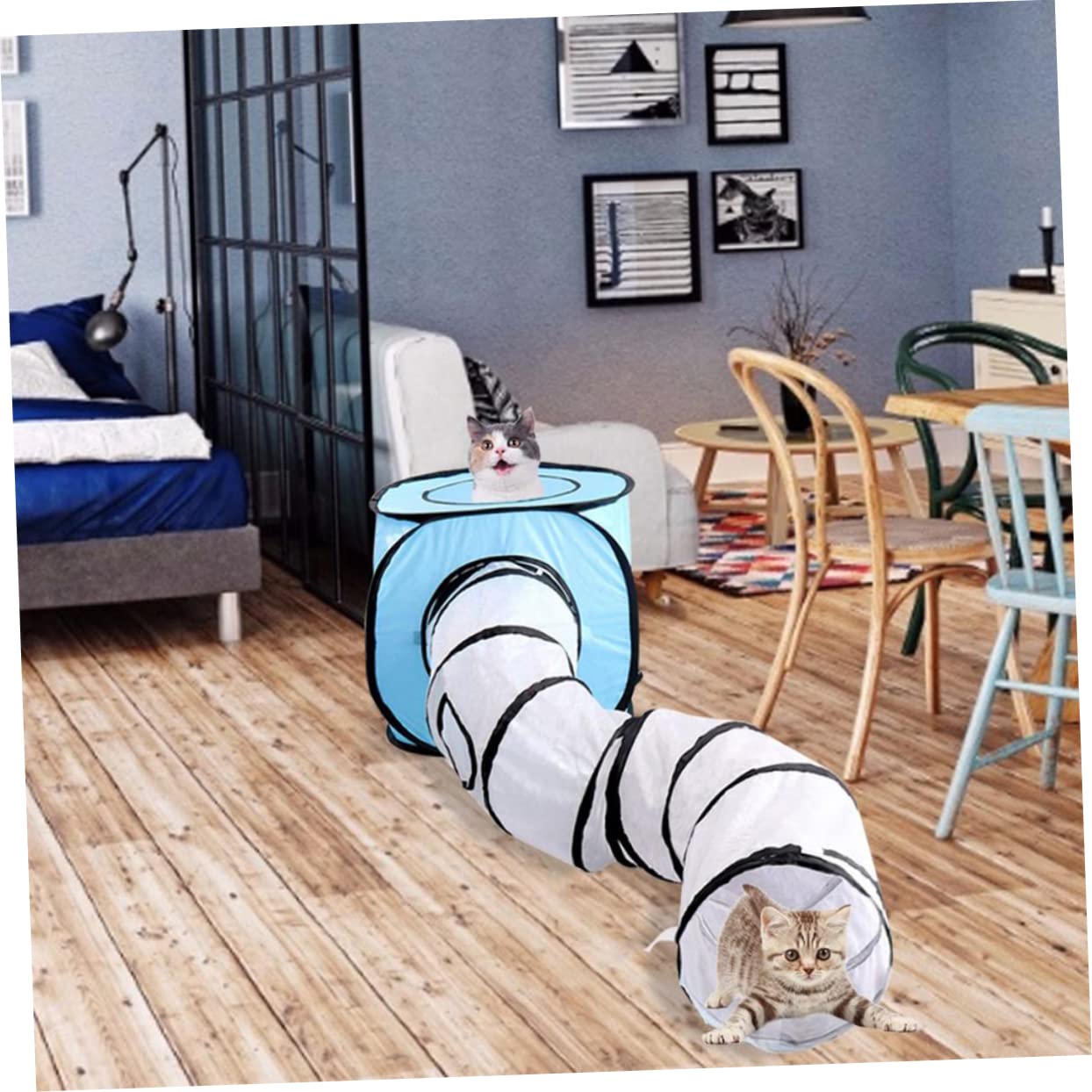Katzentunnel S-Form Faltbar Interaktiv für Katzen, Blau