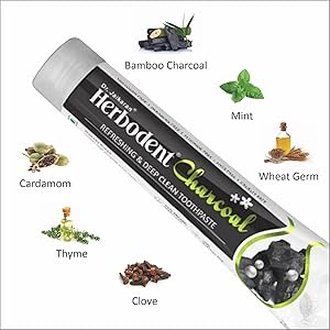 Herbodent Charcoal Toothpaste - 6.53 Oz Pack of 1 | Whitens Teeth & Fresh Breath | No Bleach, No Fluoride | Activated Bamboo Charcoal & Organic Herbs -Wheat Germ Oil, Thyme Oil, Clove Oil