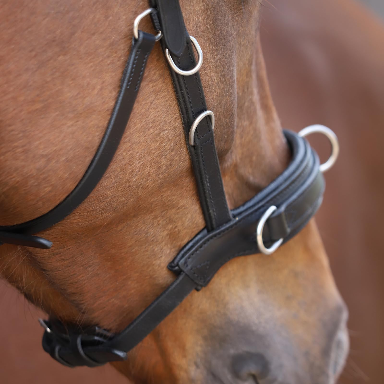 Marengos - Lederkappzaum Anatomic – Kappzaum aus Echtleder – anatomisch & gepolstert – Edelstahl-Beschläge – ideal zum Longieren & Bodenarbeit – braun o. schwarz – Pony, Warm- & Vollblut