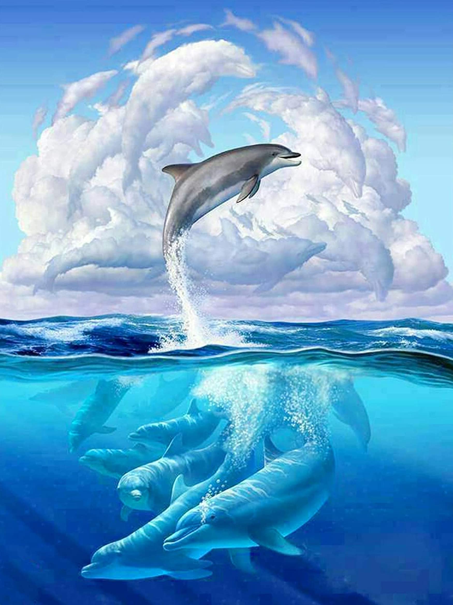 5D Diamond Painting Dauphin Kit - Diy Broderie Diamant Coucher De
