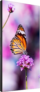Sharp UN552V 55IN LED S-IPS 28 Haze Ultra Narrow Bezel 3.5MM