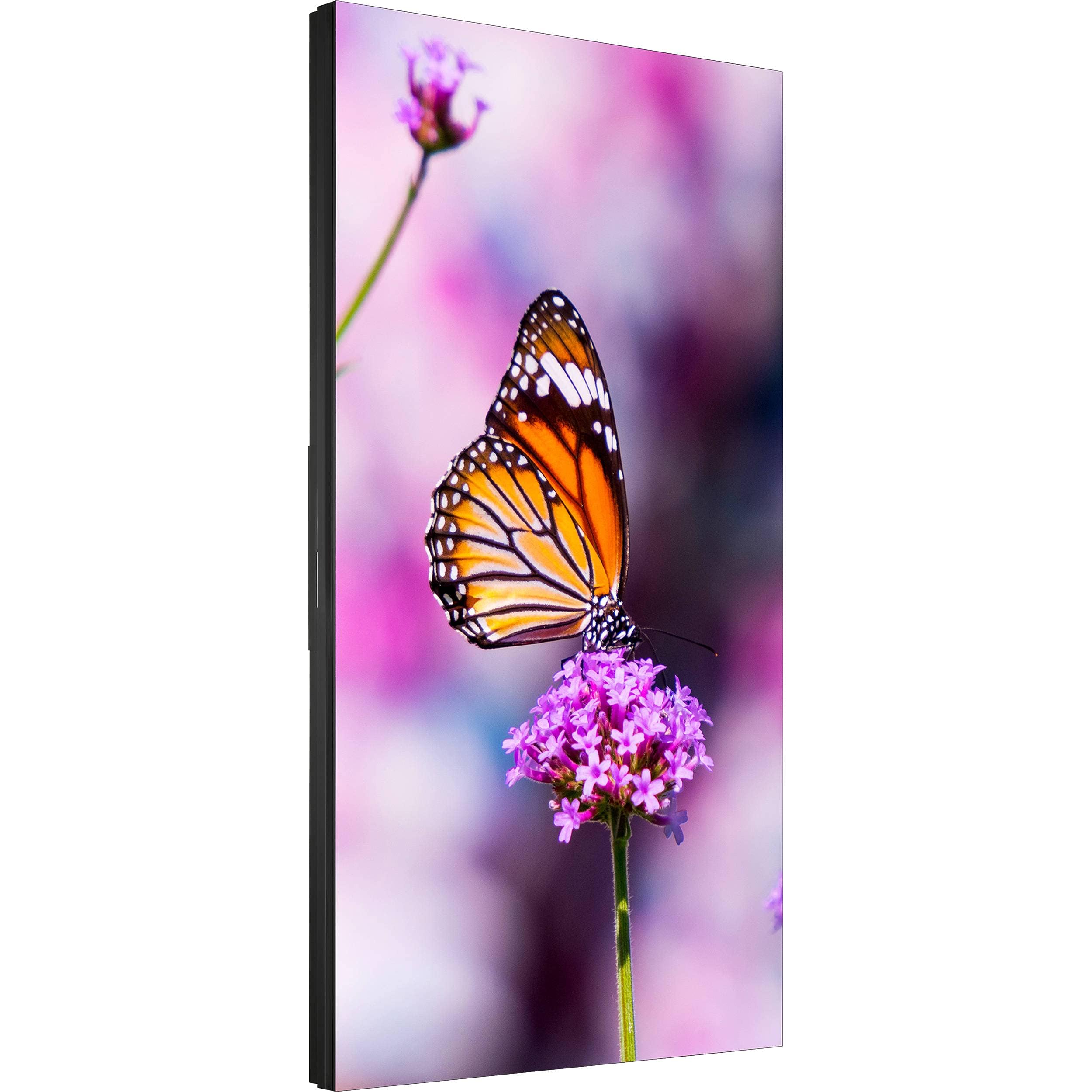 Sharp UN552V 55IN LED S-IPS 28 Haze Ultra Narrow Bezel 3.5MM