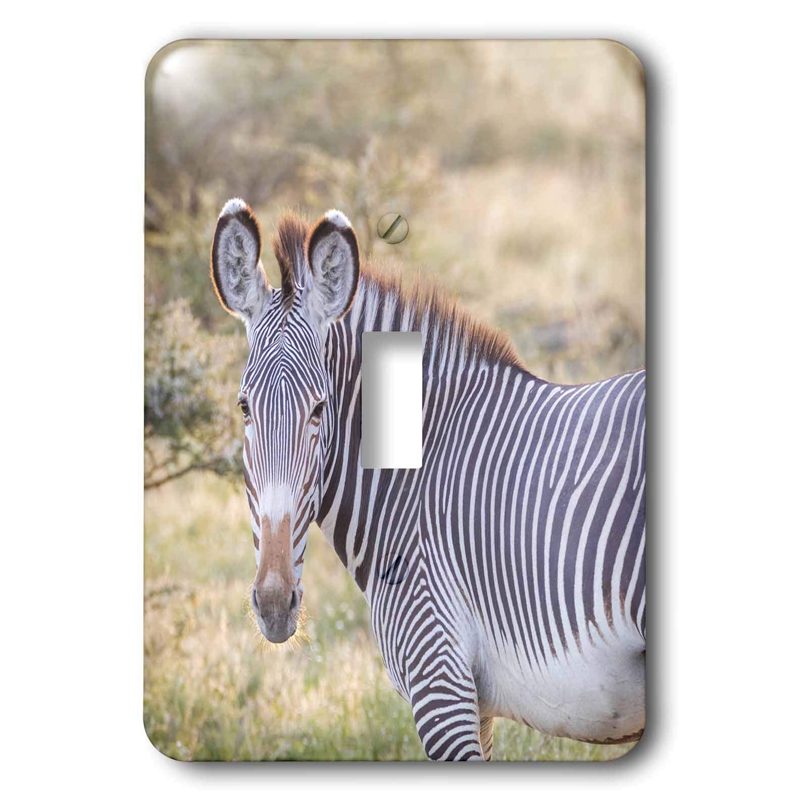 3dRoseDanita Delimont - Zebras - Africa, Kenya, Samburu National Game Reserve and Park, Grevys Zebra. - single toggle switch (lsp_310430_1)