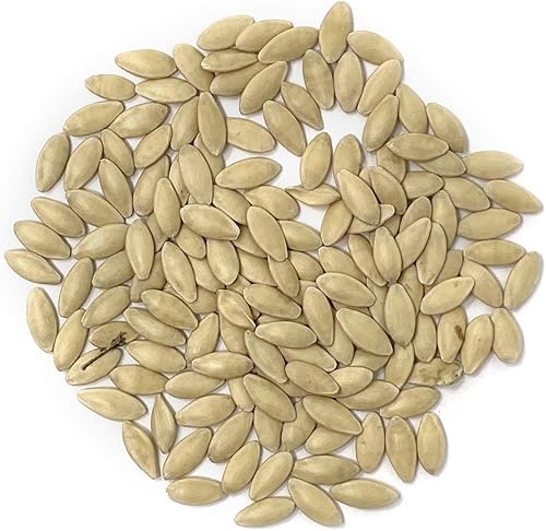 Miniatura 2 de Semillas de pepino orgánicas (Marketmore 76) – Aproximadamente 100 semillas – USDA Organic, sin OMG, polinizado abierto, reliquia, origen