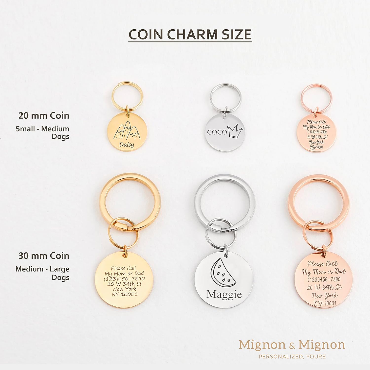 MignonandMignon Personalized Dogs Cats ID Tags Pet Collar Coin Charm Lovely Symbols Dog Name Collar Accessories Father's Day Gift Custom Engraved Products for Extra Small Dog Anti-Lost Pet -AID-C-S
