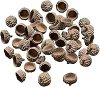 Vista 5 de SM SunniMix 100 tapas de bellotas naturales auténticas rústicas de bellotas decorativas para el hogar, bricolaje, Acción de Gracias, Navidad