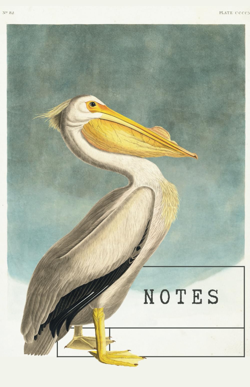 Vintage Pelican Notebook: Audubon Vintage Birds Notebook Series - beautiful stationery - 5.5in x 8.5in size - 160 classic cream lined pages - soft ... botanical, art lovers, bird watchers, journal